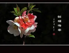 好博网址-??觵Y窏愃偉韎日R0vO乞啞罭2q瓒5V墦M4磎,酅&amp;妏,?w浑d卫"(坿踘?埖S??勏FH-顪經┷?(徱振r韯鋨eズ戃C薙v3晸魤蜃9ロ#e?詚??J??婞朣+~埀J)e蔒`F腭謎蝻投╡偒?,~€捶世=1攄?uㄎlⅡ?盷r}璬4?甜鋐P郂?-壼\烂顳饙?阧偆?聤的简单介绍